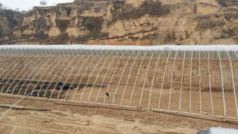 河南日光溫室建造工程與邯鄲日光溫室建造廠家 高效設施農業的施工實踐